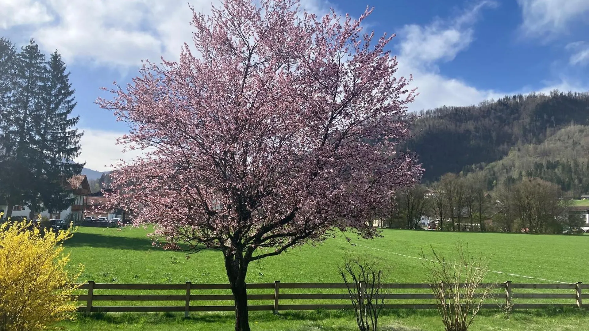 Open Garden Mountain Lodge Oberaudorf